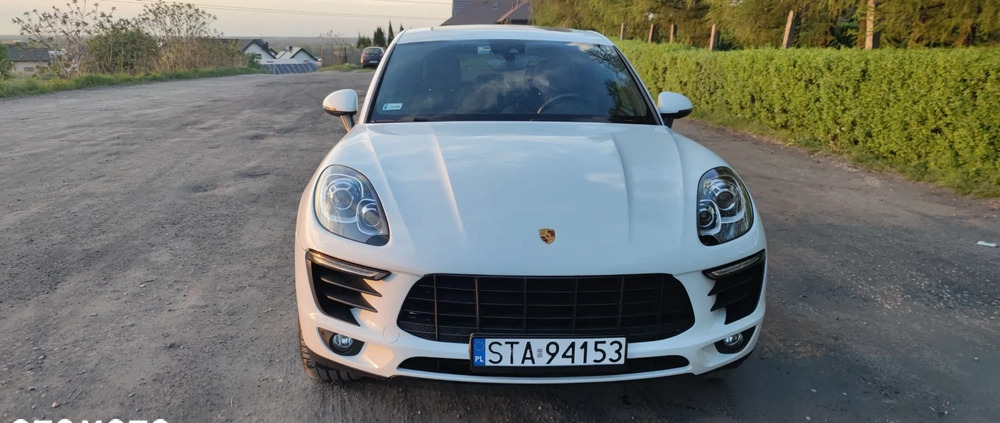 Porsche Macan cena 164900 przebieg: 65000, rok produkcji 2018 z Golina małe 191